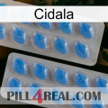 Cidala 23